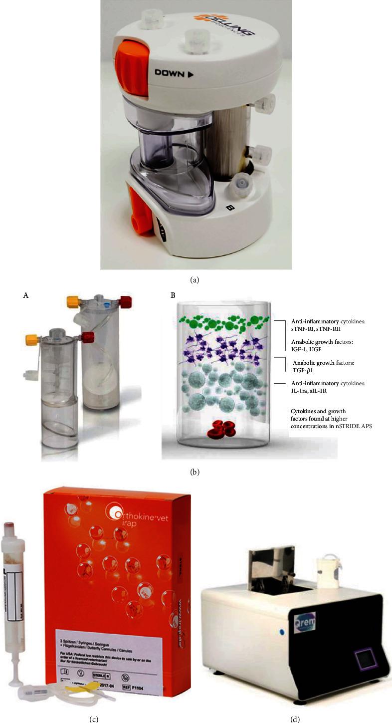 https://cdn.ncbi.nlm.nih.gov/pmc/blobs/1f07/11329313/0dae94709d26/BMRI2024-6444120.006.jpg