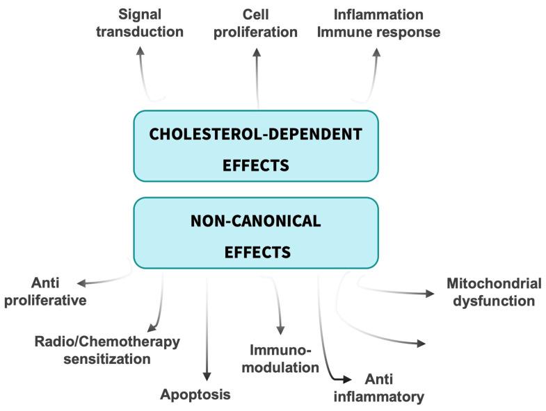 https://cdn.ncbi.nlm.nih.gov/pmc/blobs/1f0a/10417177/5c947930e9bd/cancers-15-03948-g002.jpg