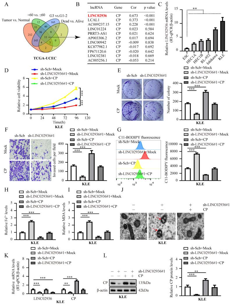 https://cdn.ncbi.nlm.nih.gov/pmc/blobs/1f0a/10878161/06ca983126a1/ijbsv20p1356g003.jpg