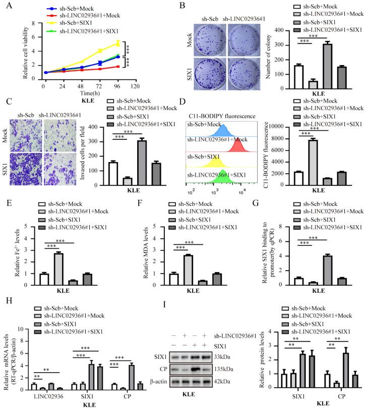 https://cdn.ncbi.nlm.nih.gov/pmc/blobs/1f0a/10878161/123aba6aa591/ijbsv20p1356g007.jpg