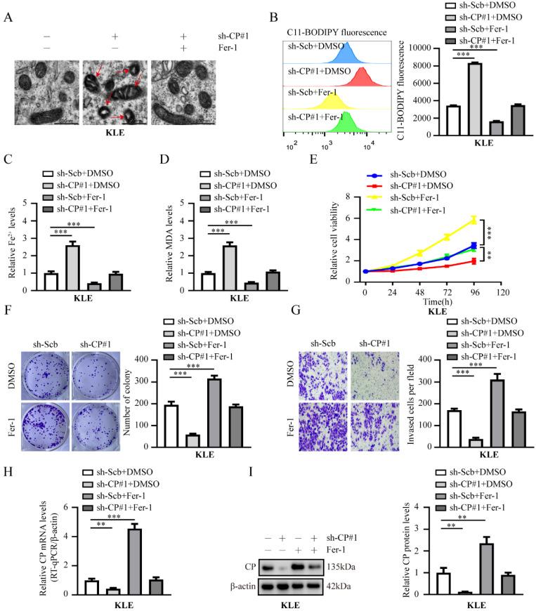 https://cdn.ncbi.nlm.nih.gov/pmc/blobs/1f0a/10878161/8050a81554f9/ijbsv20p1356g002.jpg