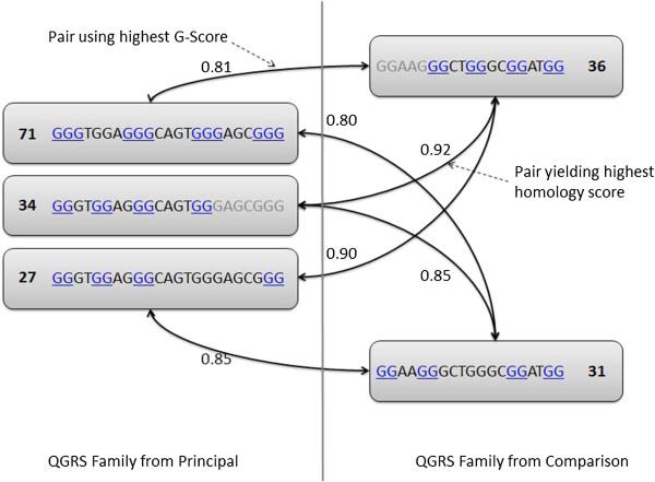 https://cdn.ncbi.nlm.nih.gov/pmc/blobs/1f0c/4017754/fbea4f0a1091/1479-7364-8-8-5.jpg
