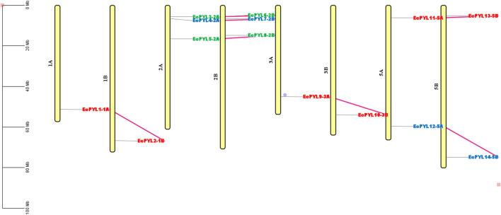 https://cdn.ncbi.nlm.nih.gov/pmc/blobs/1f0e/12159037/3a350636a4e9/fgene-16-1598523-g006.jpg