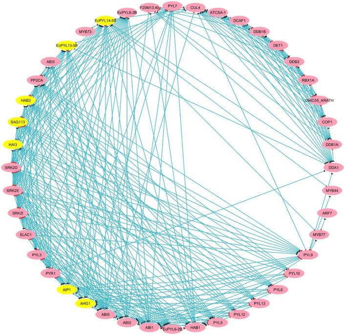 https://cdn.ncbi.nlm.nih.gov/pmc/blobs/1f0e/12159037/4b6fdda6e8cf/fgene-16-1598523-g008.jpg