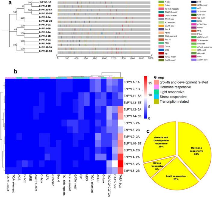 https://cdn.ncbi.nlm.nih.gov/pmc/blobs/1f0e/12159037/64a6dcb99f6d/fgene-16-1598523-g007.jpg