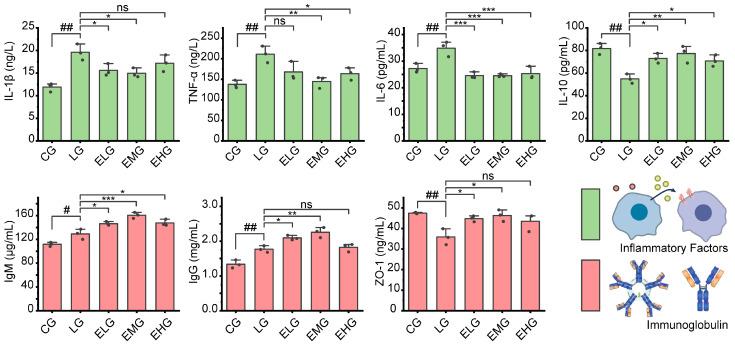 https://cdn.ncbi.nlm.nih.gov/pmc/blobs/1f0f/11989753/07aa5a847561/ijms-26-03209-g002.jpg
