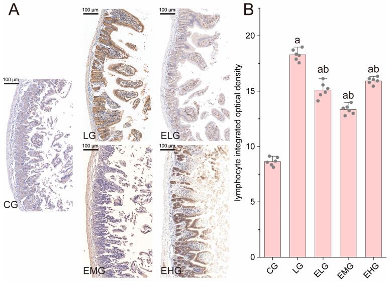 https://cdn.ncbi.nlm.nih.gov/pmc/blobs/1f0f/11989753/d68269492aae/ijms-26-03209-g003.jpg