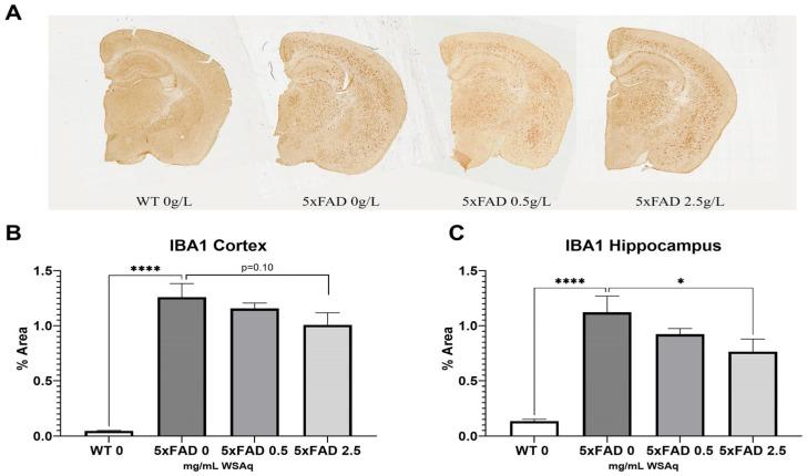 https://cdn.ncbi.nlm.nih.gov/pmc/blobs/1f10/11504317/9083e4ce9d5e/antioxidants-13-01164-g007.jpg