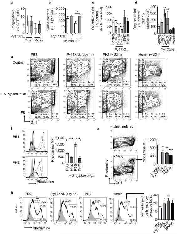 https://cdn.ncbi.nlm.nih.gov/pmc/blobs/1f10/3272454/32ada6074279/ukmss-37913-f0003.jpg