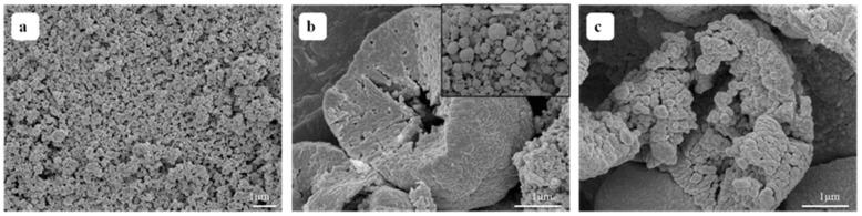 https://cdn.ncbi.nlm.nih.gov/pmc/blobs/1f11/6164638/30952e50ce57/nanomaterials-08-00687-g002.jpg
