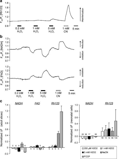 https://cdn.ncbi.nlm.nih.gov/pmc/blobs/1f12/2719740/eba53594f382/424_2009_672_Fig7_HTML.jpg