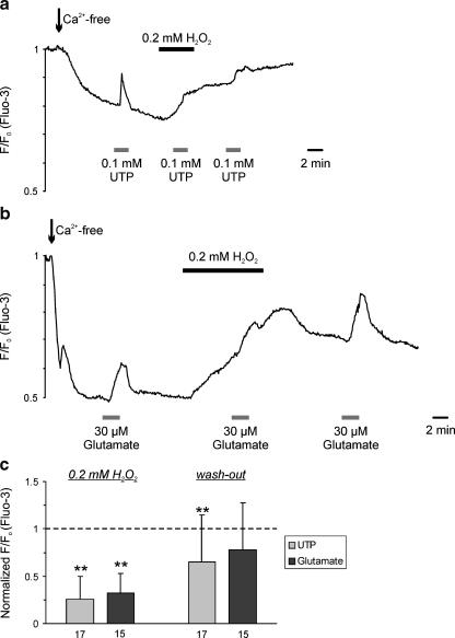 https://cdn.ncbi.nlm.nih.gov/pmc/blobs/1f12/2719740/eface43c5274/424_2009_672_Fig6_HTML.jpg