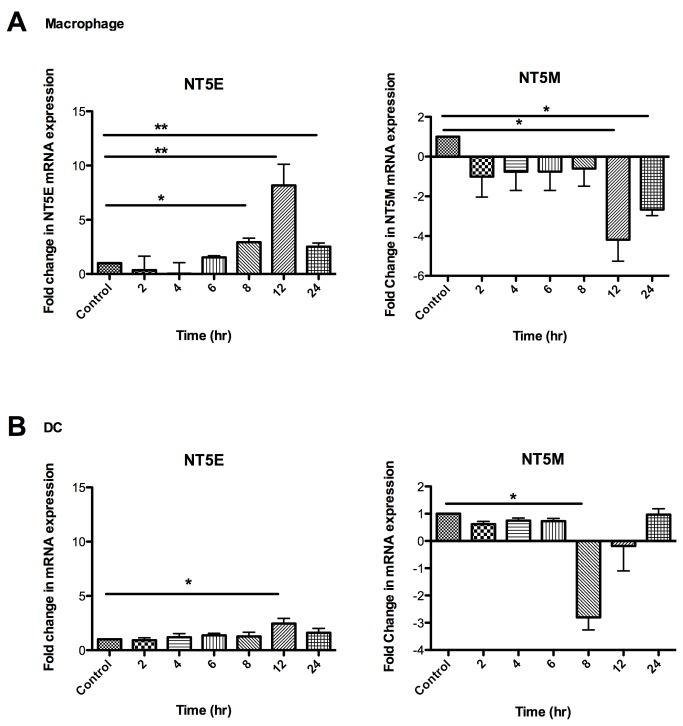 https://cdn.ncbi.nlm.nih.gov/pmc/blobs/1f13/3808279/6a1859f7ae09/pone.0078814.g002.jpg
