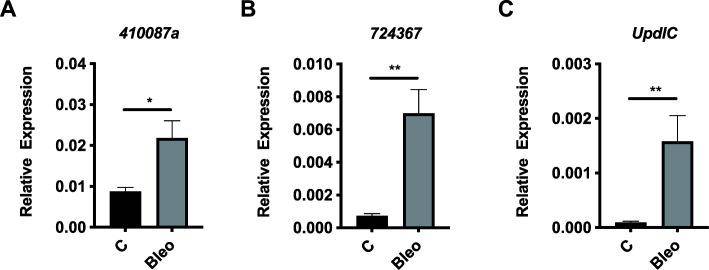 https://cdn.ncbi.nlm.nih.gov/pmc/blobs/1f15/10846157/960191a48883/spectrum.03349-23.f004.jpg