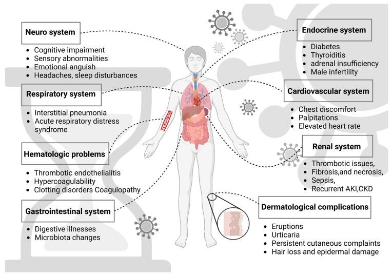 https://cdn.ncbi.nlm.nih.gov/pmc/blobs/1f17/11048001/3d465be0c95b/biomedicines-12-00913-g001.jpg
