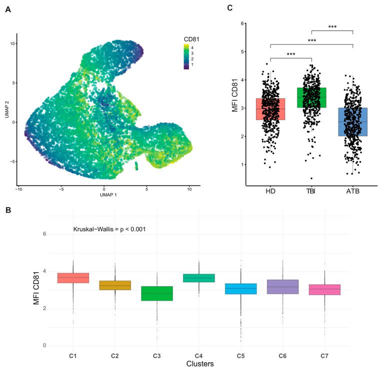 https://cdn.ncbi.nlm.nih.gov/pmc/blobs/1f19/11430301/1d15d8dcb32f/cells-13-01529-g006.jpg