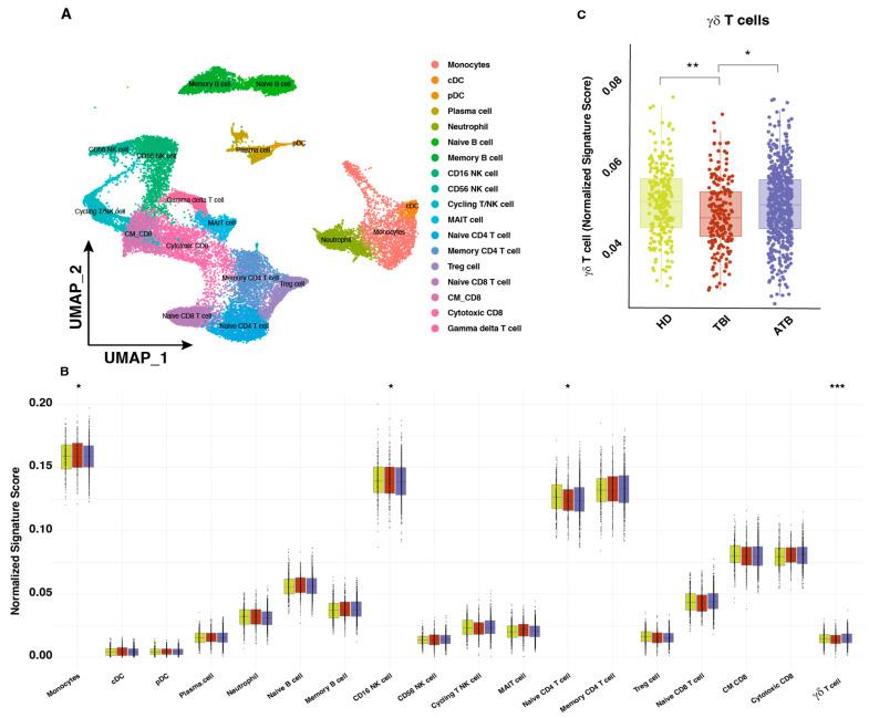 https://cdn.ncbi.nlm.nih.gov/pmc/blobs/1f19/11430301/f16fcb0f950c/cells-13-01529-g002.jpg