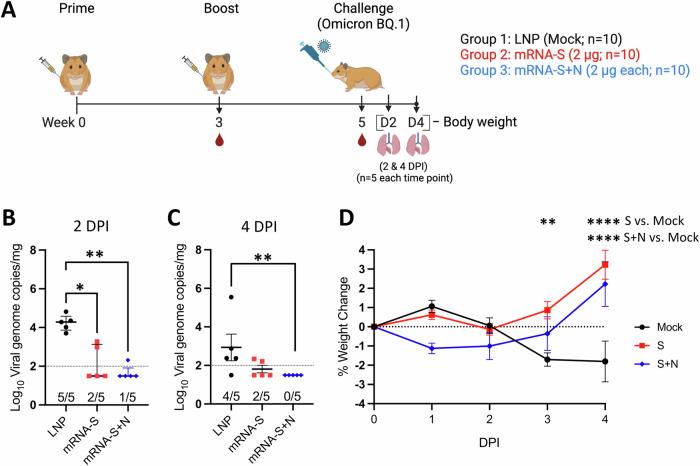 https://cdn.ncbi.nlm.nih.gov/pmc/blobs/1f1b/11374988/1526838b637e/41541_2024_957_Fig4_HTML.jpg