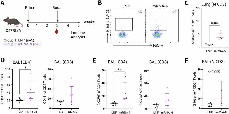 https://cdn.ncbi.nlm.nih.gov/pmc/blobs/1f1b/11374988/aa8120b90278/41541_2024_957_Fig2_HTML.jpg