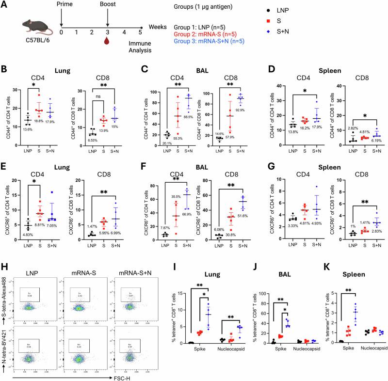 https://cdn.ncbi.nlm.nih.gov/pmc/blobs/1f1b/11374988/b8184568f83b/41541_2024_957_Fig6_HTML.jpg