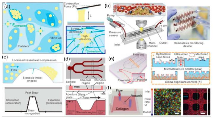https://cdn.ncbi.nlm.nih.gov/pmc/blobs/1f1c/11435959/3ce7e09b1ca6/sensors-24-05872-g009.jpg