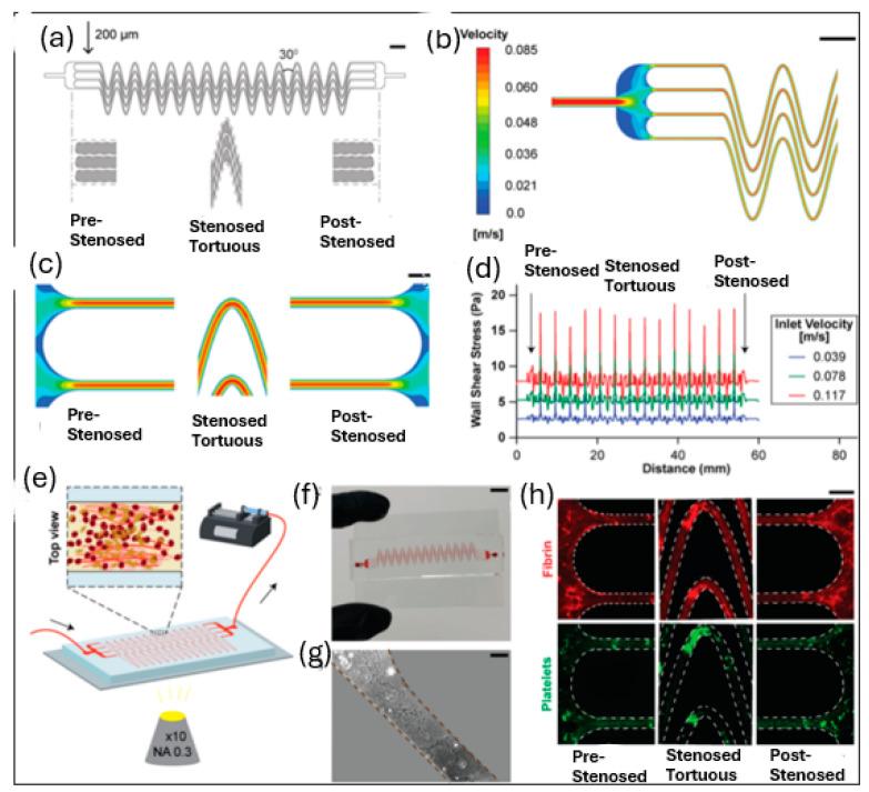 https://cdn.ncbi.nlm.nih.gov/pmc/blobs/1f1c/11435959/a0e36f9decdd/sensors-24-05872-g013.jpg
