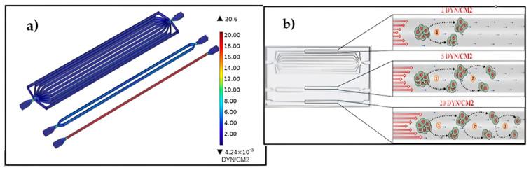 https://cdn.ncbi.nlm.nih.gov/pmc/blobs/1f1c/11435959/b55821c7b33b/sensors-24-05872-g008.jpg