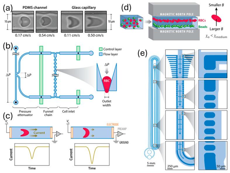https://cdn.ncbi.nlm.nih.gov/pmc/blobs/1f1c/11435959/c12cf8980f72/sensors-24-05872-g001.jpg