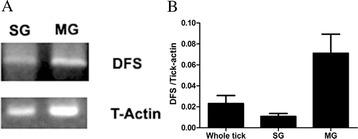 https://cdn.ncbi.nlm.nih.gov/pmc/blobs/1f1c/4311433/8cb514eaf7f2/13071_2014_625_Fig3_HTML.jpg