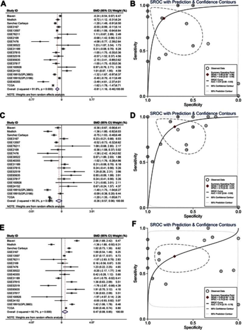 https://cdn.ncbi.nlm.nih.gov/pmc/blobs/1f1c/6526186/11004f47eed0/OTT-12-3695-g0010.jpg