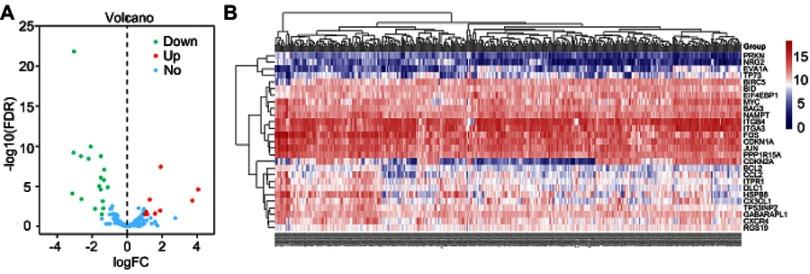 https://cdn.ncbi.nlm.nih.gov/pmc/blobs/1f1c/6526186/e53ca702ff26/OTT-12-3695-g0001.jpg