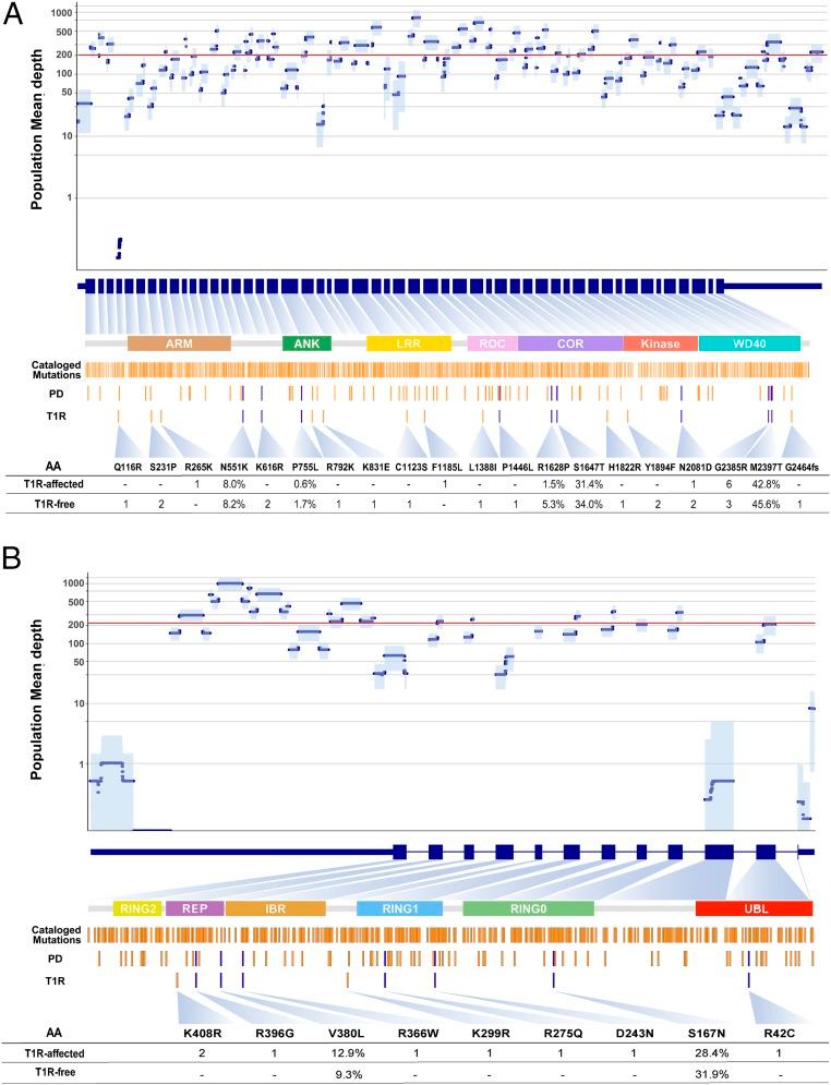 https://cdn.ncbi.nlm.nih.gov/pmc/blobs/1f1d/6681704/00172f244d34/pnas.1901805116fig01.jpg