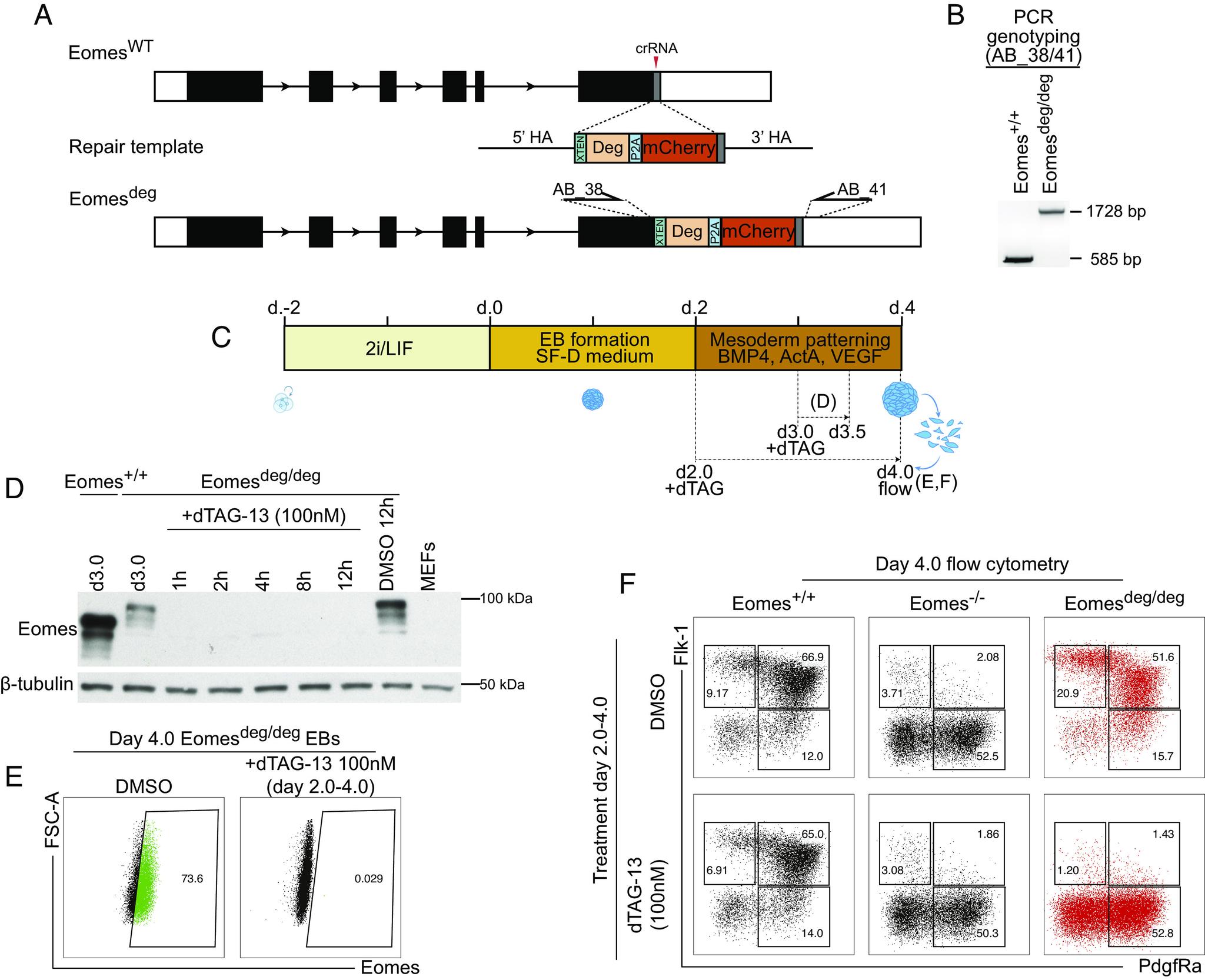 https://cdn.ncbi.nlm.nih.gov/pmc/blobs/1f20/10622880/2150dcc94dbc/pnas.2311946120fig01.jpg