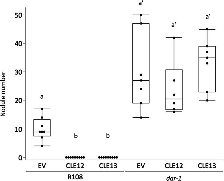 https://cdn.ncbi.nlm.nih.gov/pmc/blobs/1f22/11316349/392591b48627/12870_2024_5479_Fig3_HTML.jpg