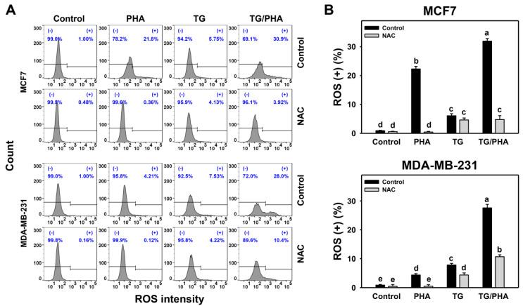 https://cdn.ncbi.nlm.nih.gov/pmc/blobs/1f25/10218805/16e48e7fd4c0/ijms-24-08853-g004.jpg
