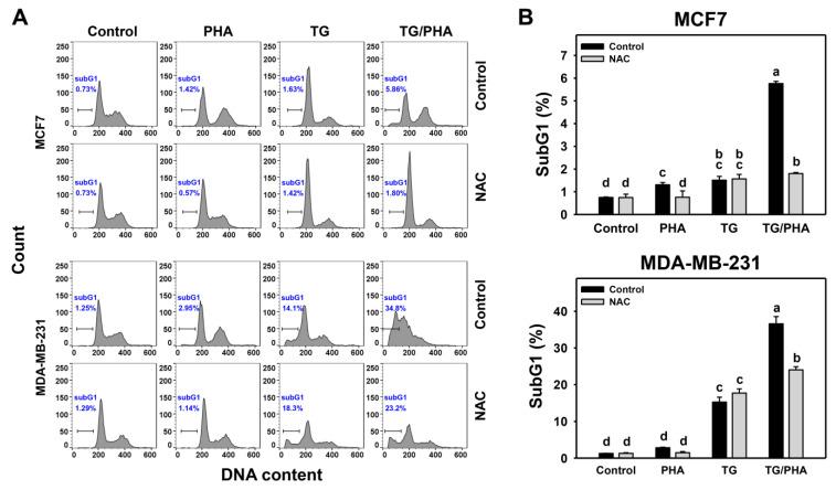 https://cdn.ncbi.nlm.nih.gov/pmc/blobs/1f25/10218805/aa35f87a5872/ijms-24-08853-g006.jpg