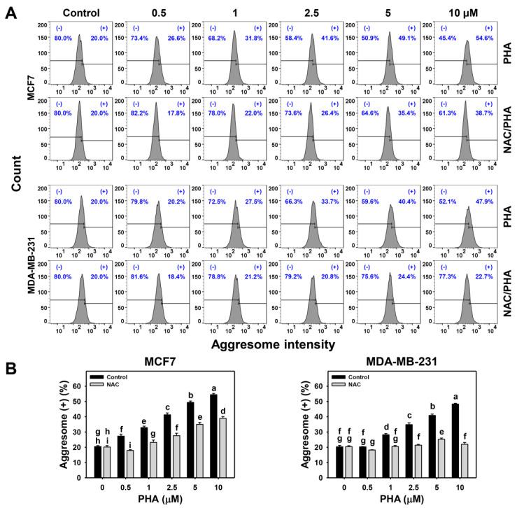https://cdn.ncbi.nlm.nih.gov/pmc/blobs/1f25/10218805/b6cb34f25897/ijms-24-08853-g002.jpg