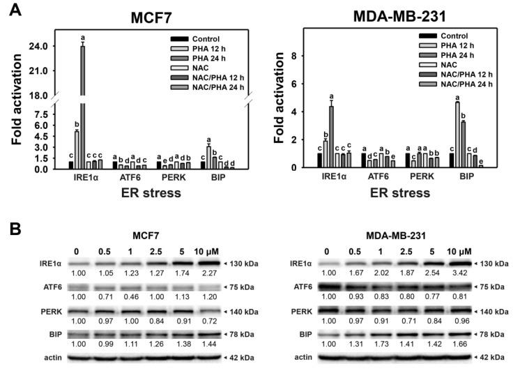 https://cdn.ncbi.nlm.nih.gov/pmc/blobs/1f25/10218805/c8a583b9a890/ijms-24-08853-g003.jpg