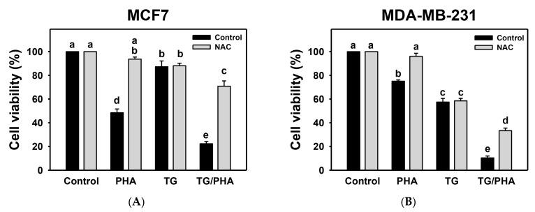 https://cdn.ncbi.nlm.nih.gov/pmc/blobs/1f25/10218805/eb42add6d39b/ijms-24-08853-g005.jpg
