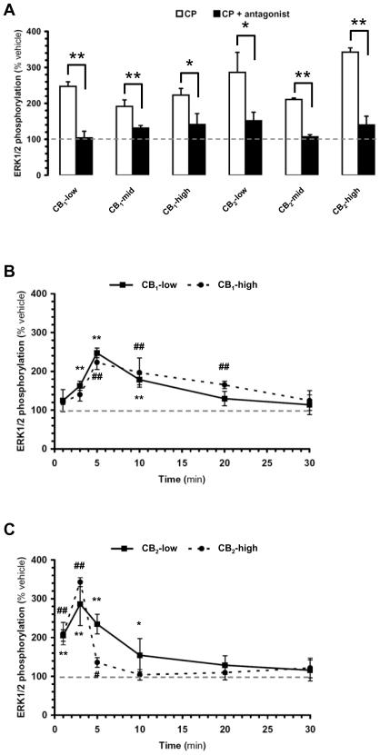 https://cdn.ncbi.nlm.nih.gov/pmc/blobs/1f25/2806825/5ad780655f9f/pone.0008702.g001.jpg