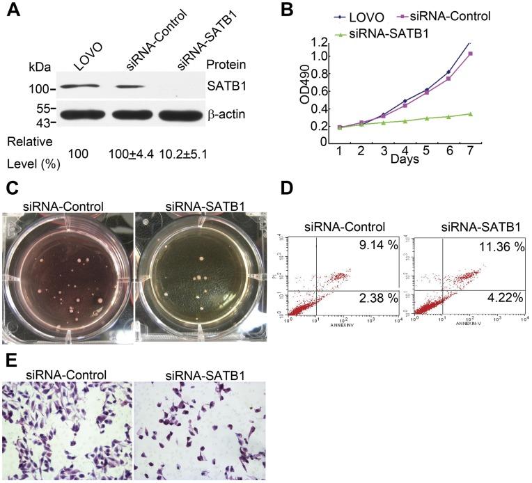 https://cdn.ncbi.nlm.nih.gov/pmc/blobs/1f25/3543436/3a26b394ec25/pone.0047902.g002.jpg
