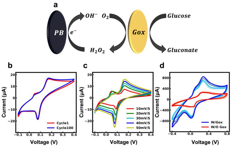 https://cdn.ncbi.nlm.nih.gov/pmc/blobs/1f28/10377550/c6674e7a0f15/biosensors-13-00684-g003.jpg