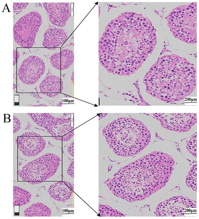 https://cdn.ncbi.nlm.nih.gov/pmc/blobs/1f28/9966439/b26289fe26d0/vetsci-10-00104-g002.jpg