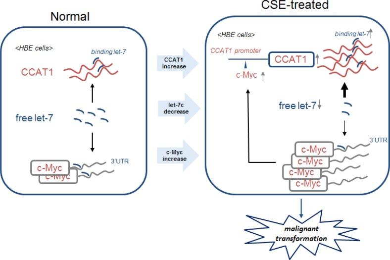 https://cdn.ncbi.nlm.nih.gov/pmc/blobs/1f29/5386684/8f7e8f269473/oncotarget-08-19285-g007.jpg
