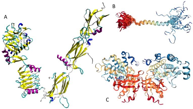 https://cdn.ncbi.nlm.nih.gov/pmc/blobs/1f2a/5666700/9d61ef526b01/ijms-18-02010-g018.jpg