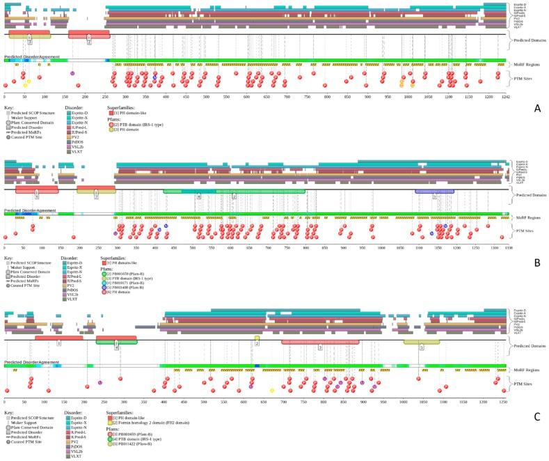 https://cdn.ncbi.nlm.nih.gov/pmc/blobs/1f2a/5666700/d1ce35f4b874/ijms-18-02010-g008.jpg