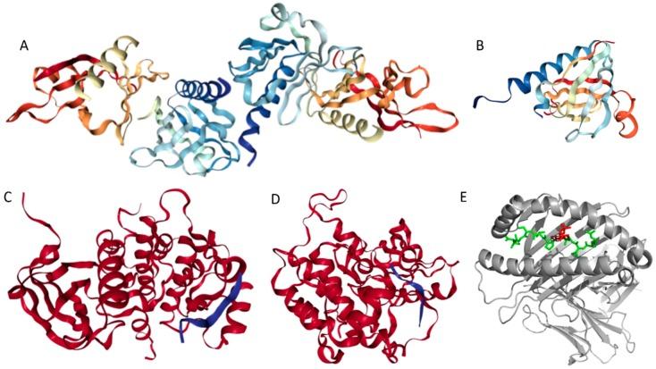 https://cdn.ncbi.nlm.nih.gov/pmc/blobs/1f2a/5666700/eaa382a575a2/ijms-18-02010-g006.jpg