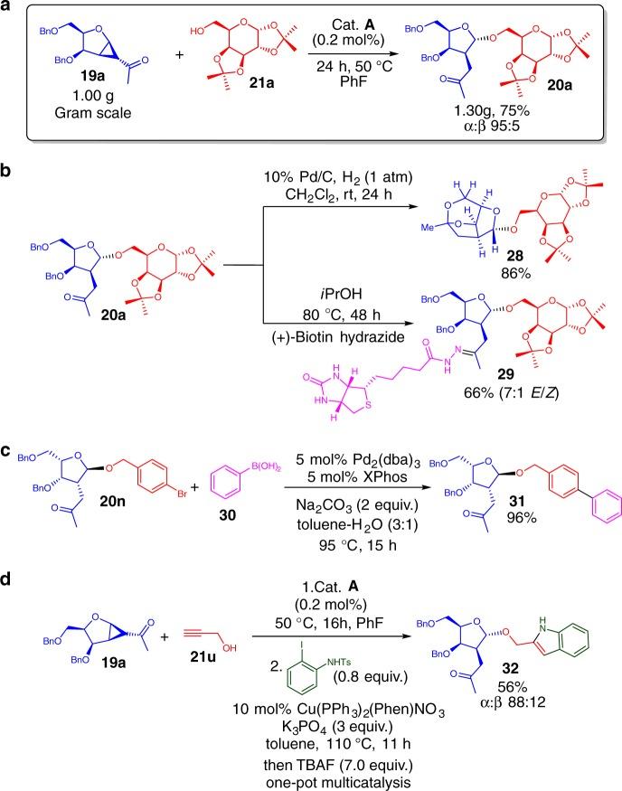 https://cdn.ncbi.nlm.nih.gov/pmc/blobs/1f2a/6170412/3c91bcd938f0/41467_2018_6329_Fig3_HTML.jpg
