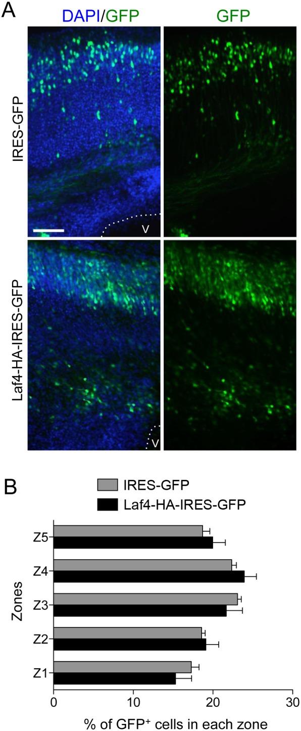https://cdn.ncbi.nlm.nih.gov/pmc/blobs/1f2b/4146563/1c6f989df636/pone.0105933.g004.jpg