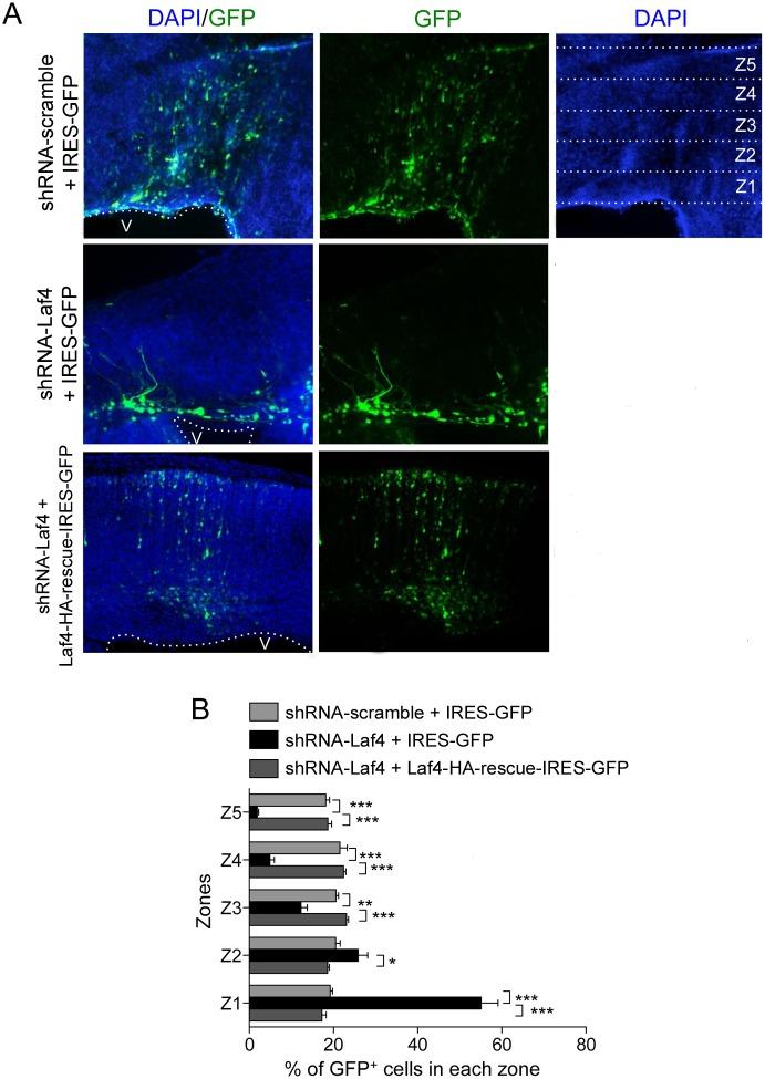 https://cdn.ncbi.nlm.nih.gov/pmc/blobs/1f2b/4146563/a7a7d3bfe0ec/pone.0105933.g003.jpg